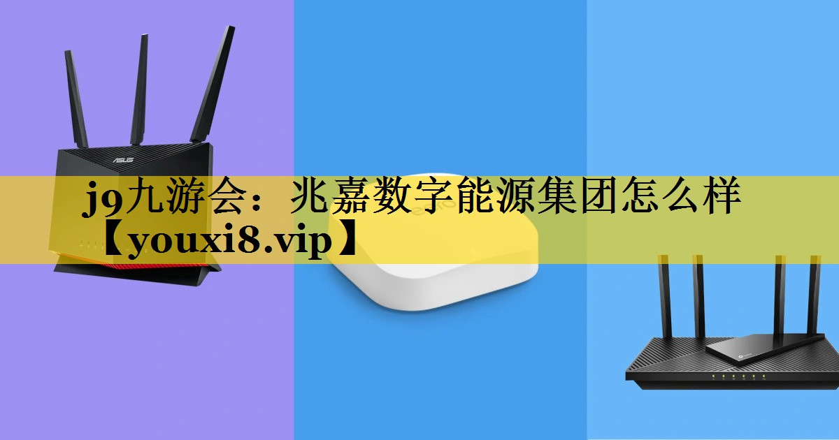 j9九游会：兆嘉数字能源集团怎么样