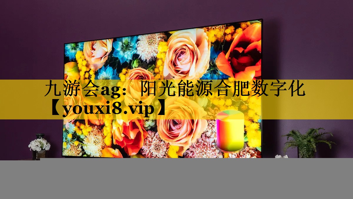 九游会ag：阳光能源合肥数字化