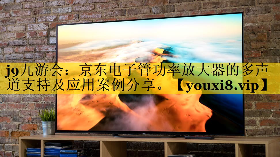 j9九游会：京东电子管功率放大器的多声道支持及应用案例分享。