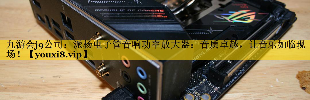 九游会j9公司：派杨电子管音响功率放大器：音质卓越，让音乐如临现场！