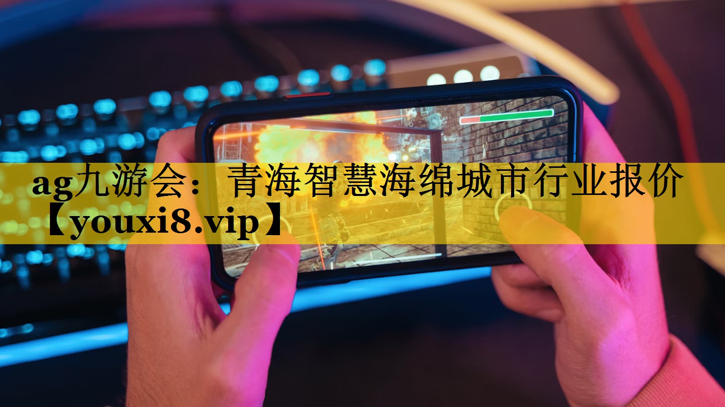 ag九游会：青海智慧海绵城市行业报价