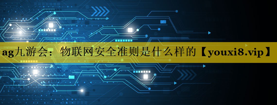 物联网安全准则是什么样的