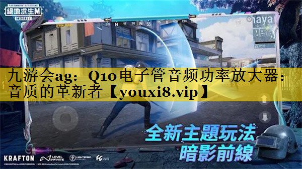 Q10电子管音频功率放大器：音质的革新者