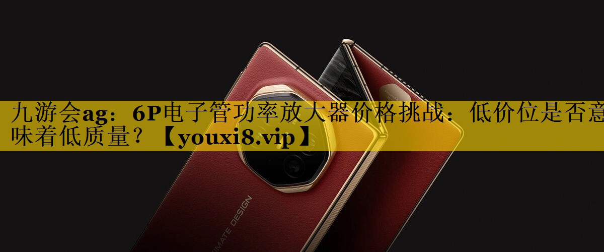 6P电子管功率放大器价格挑战：低价位是否意味着低质量？