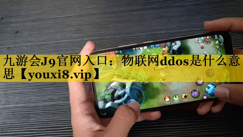 物联网ddos是什么意思