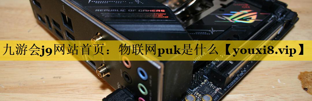 物联网puk是什么