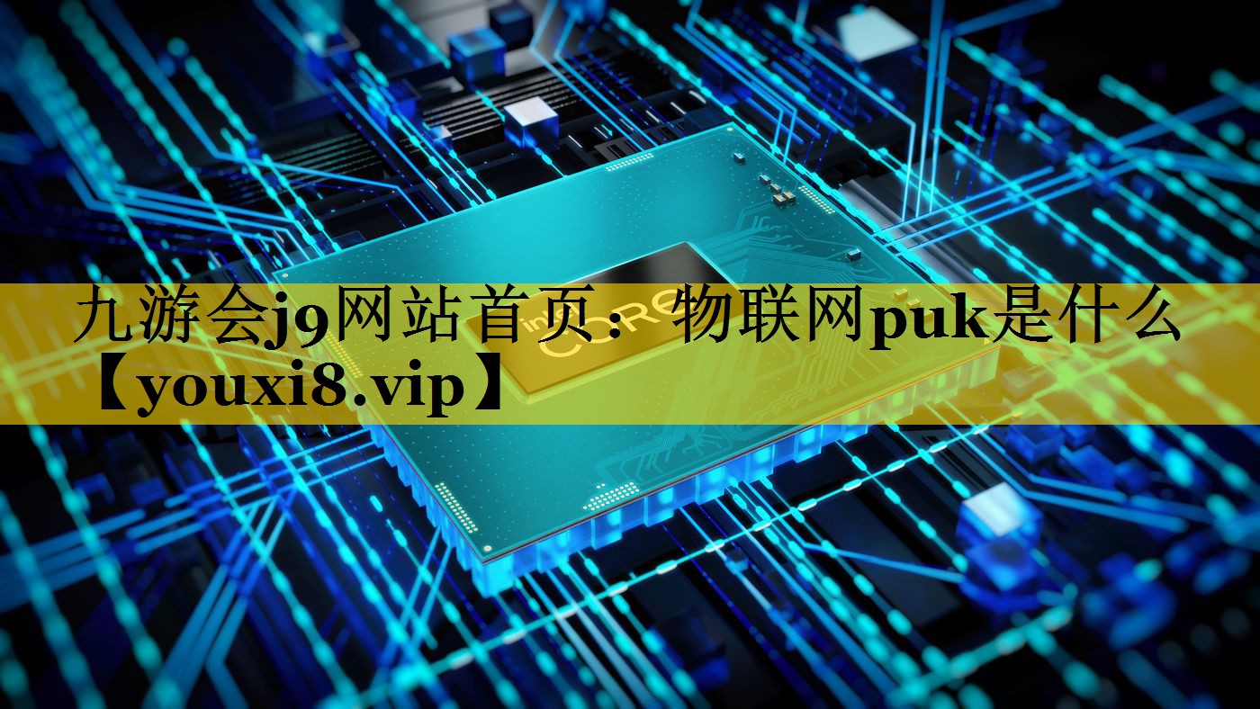物联网puk是什么