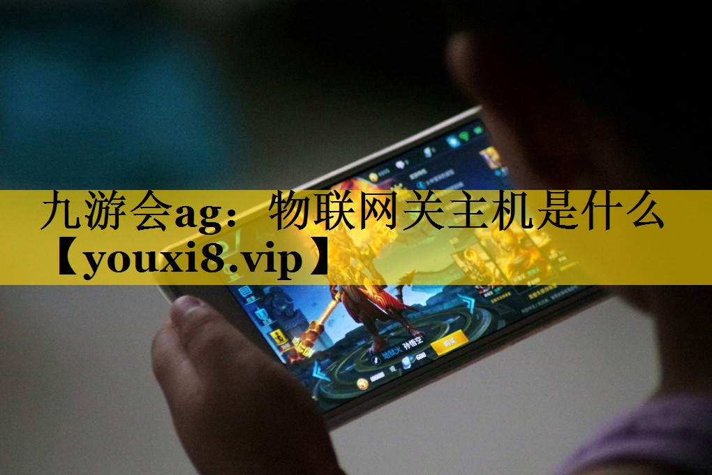 物联网关主机是什么