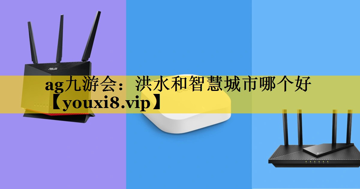 洪水和智慧城市哪个好