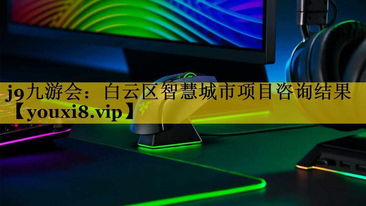 白云区智慧城市项目咨询结果