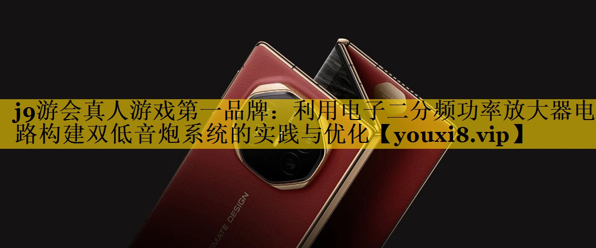 利用电子二分频功率放大器电路构建双低音炮系统的实践与优化