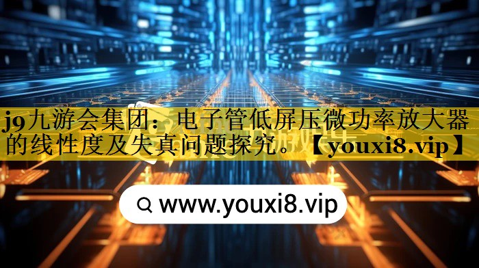 电子管低屏压微功率放大器的线性度及失真问题探究。