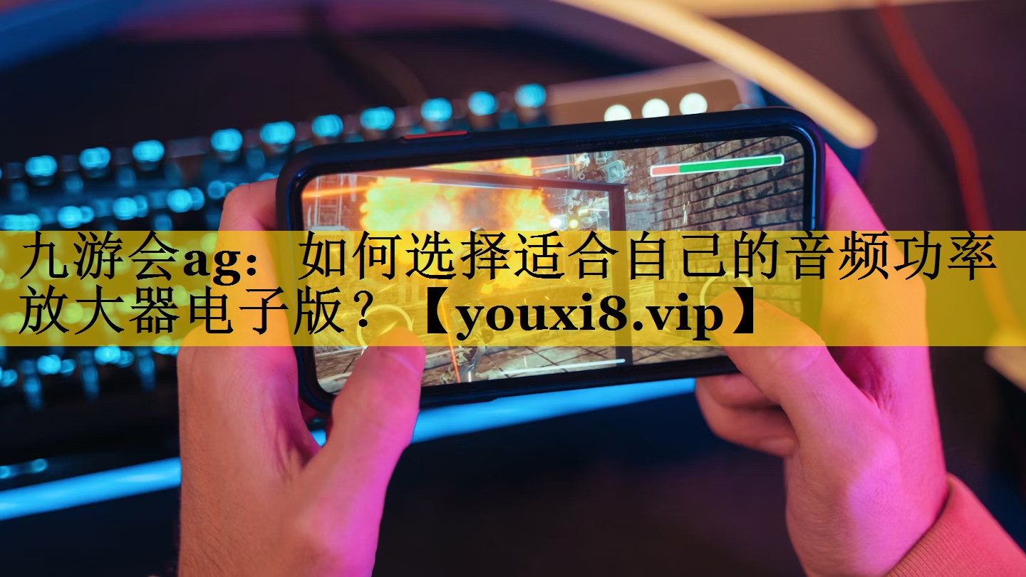 如何选择适合自己的音频功率放大器电子版? 如何选择适合自己的音频功率放大器电子版?
